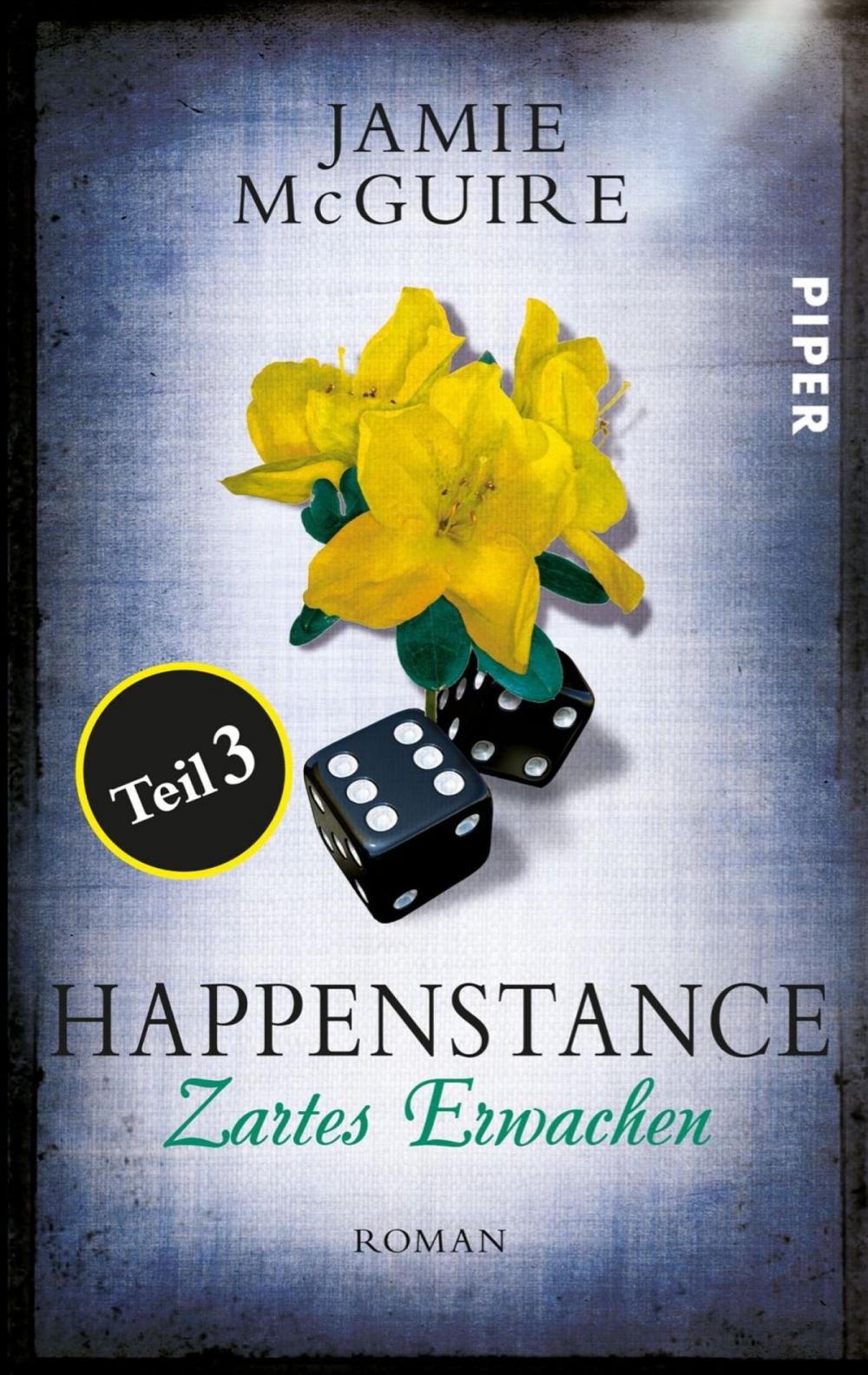 Big bigCover of Happenstance Teil 3