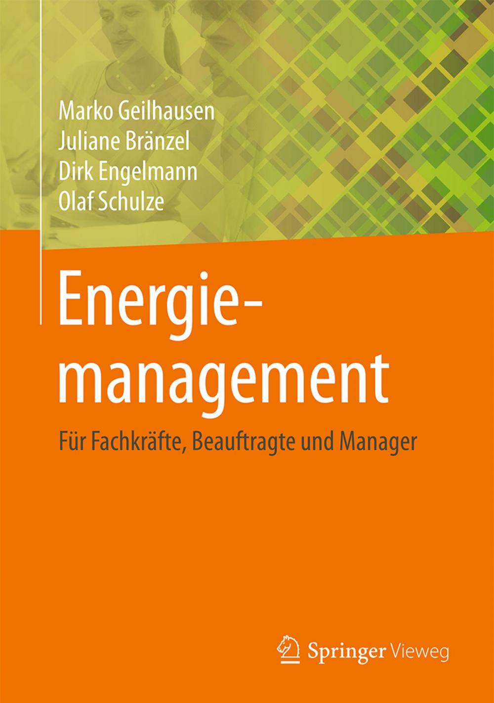 Big bigCover of Energiemanagement