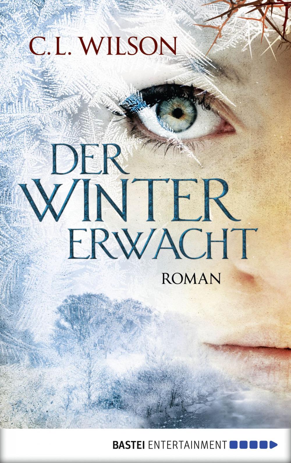 Big bigCover of Der Winter erwacht