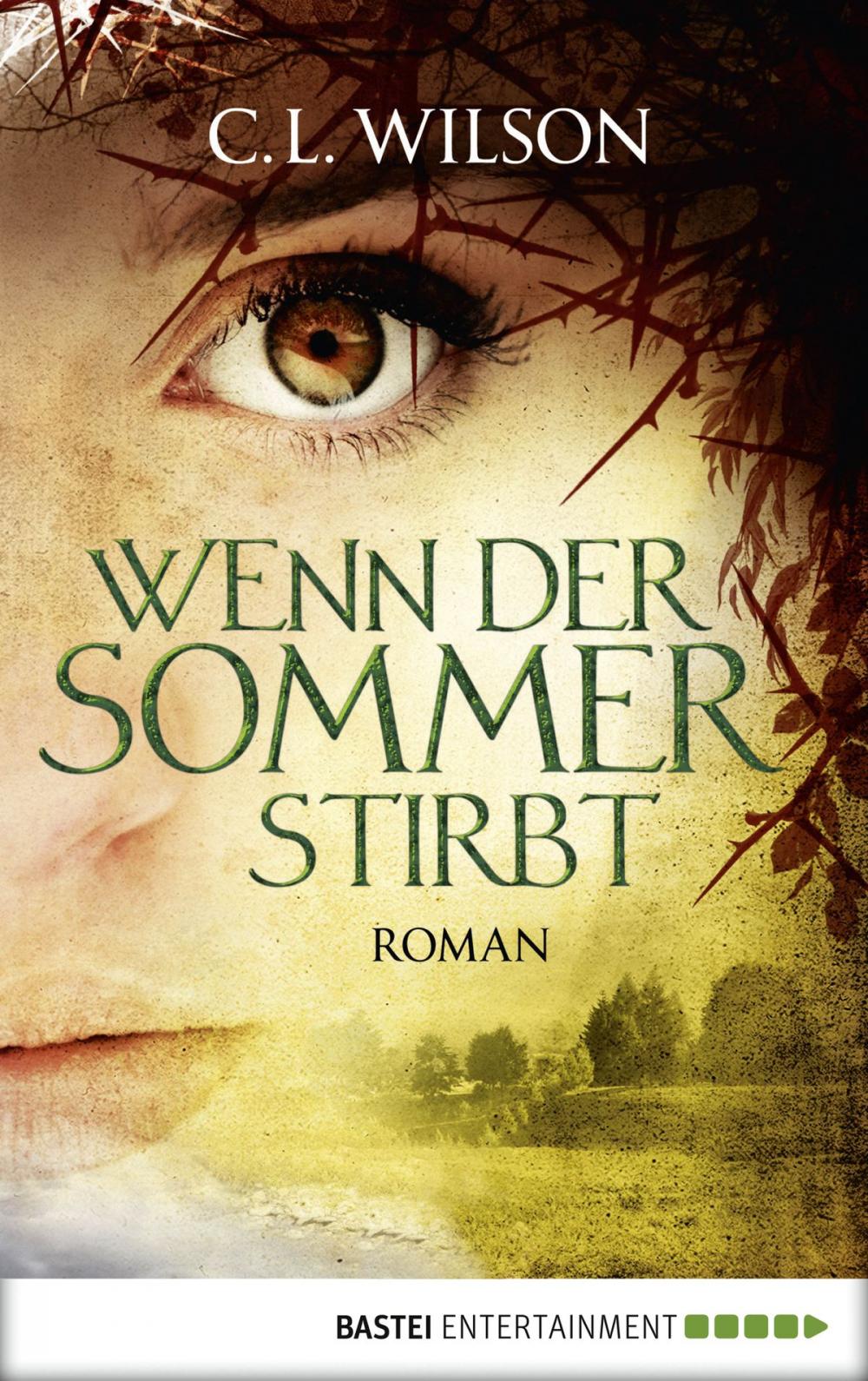 Big bigCover of Wenn der Sommer stirbt