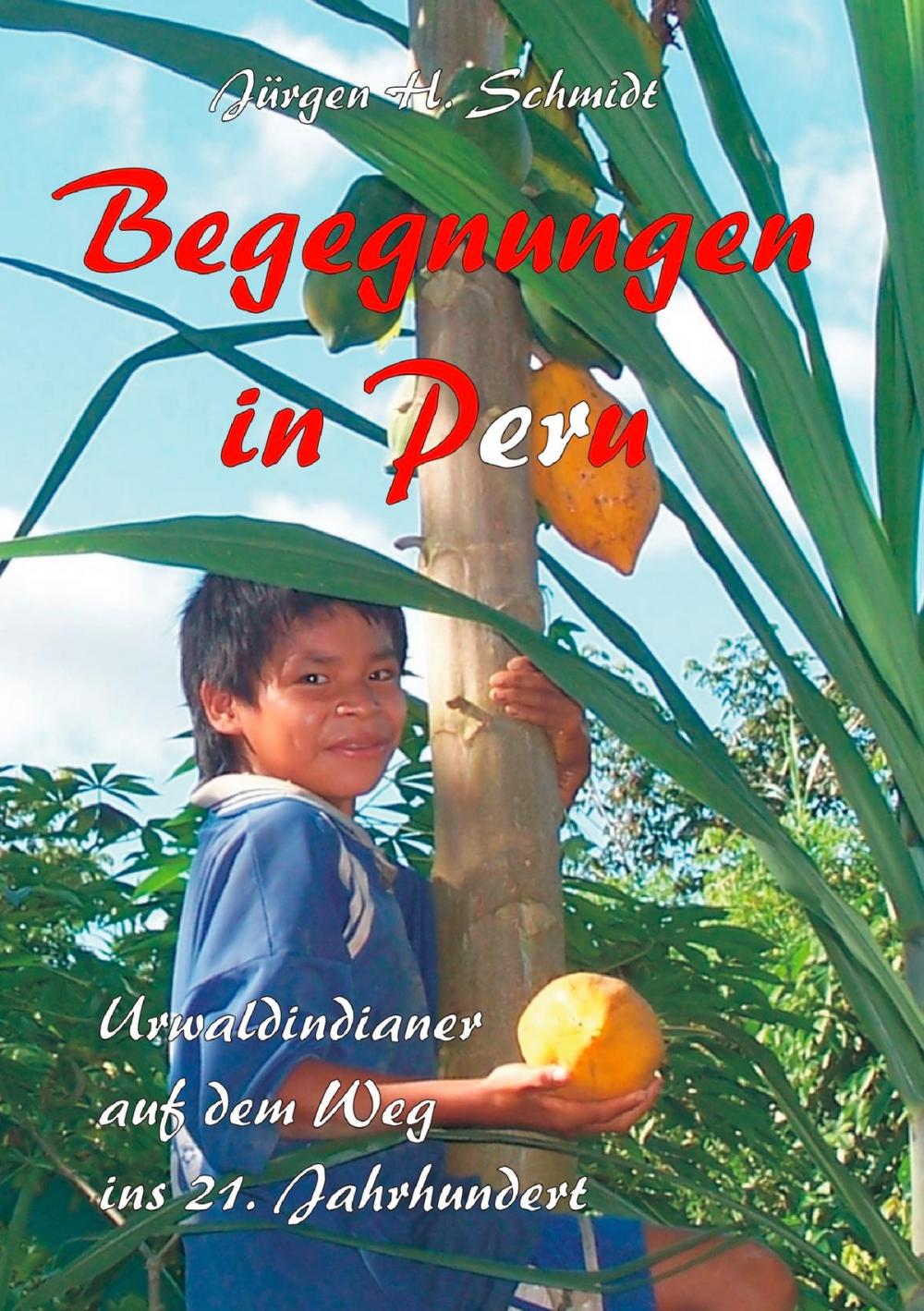 Big bigCover of Begegnungen in Peru