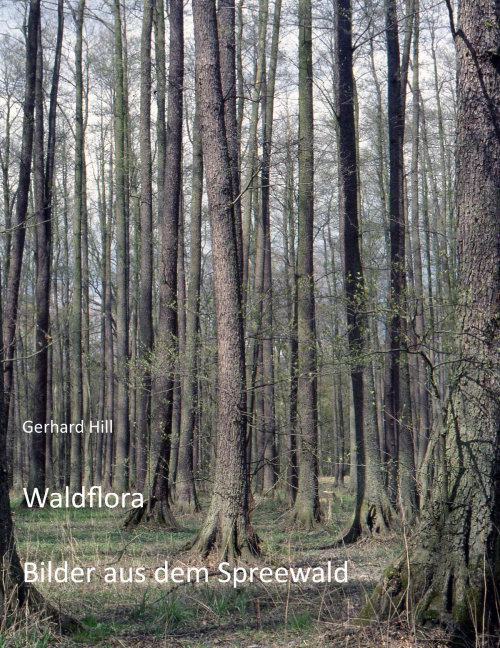 Big bigCover of Waldflora