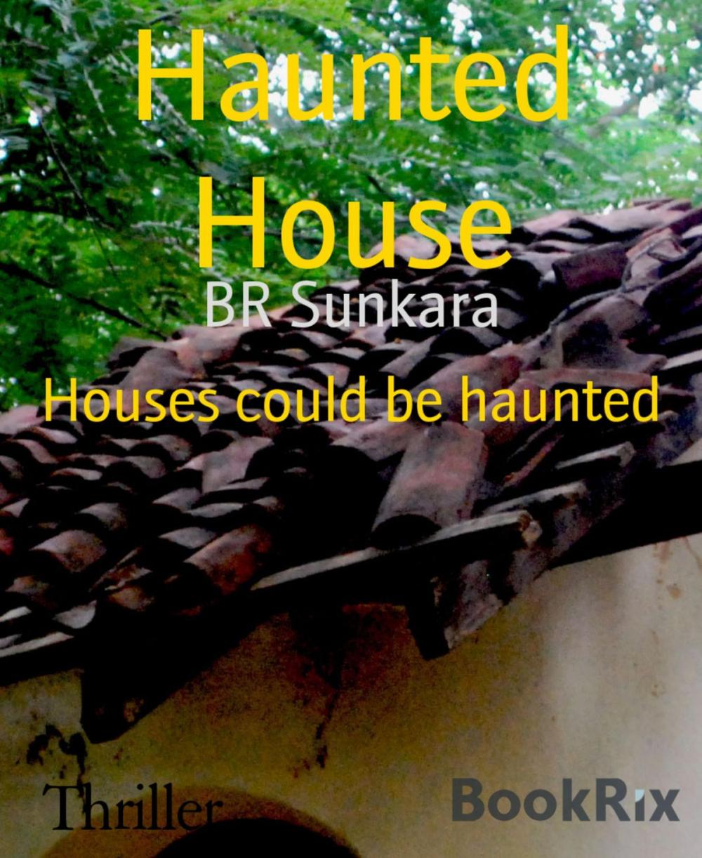 Big bigCover of Haunted House