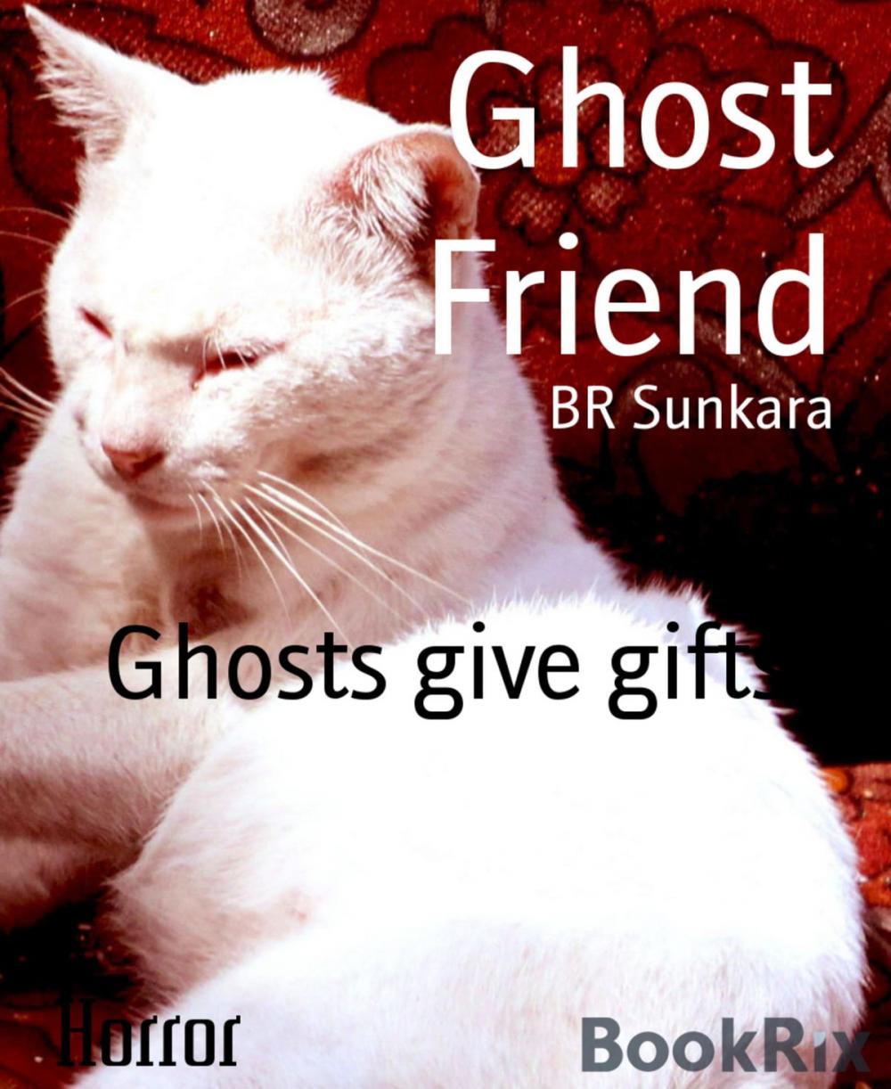 Big bigCover of Ghost Friend