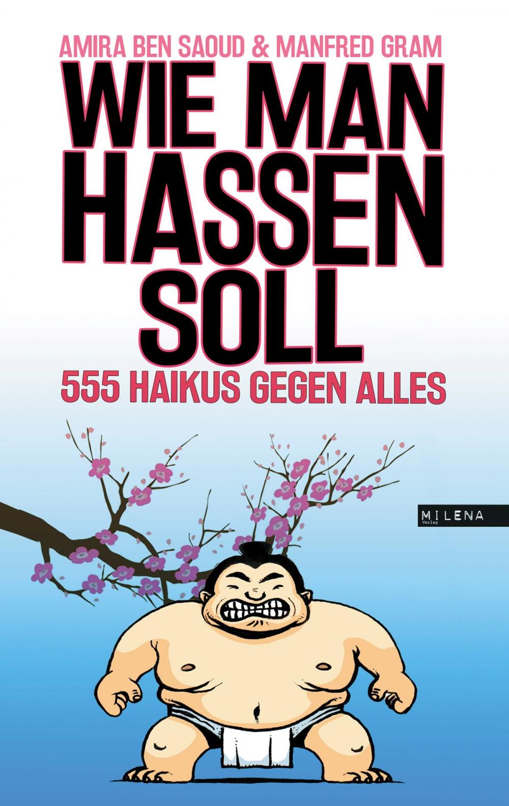 Big bigCover of Wie man hassen soll