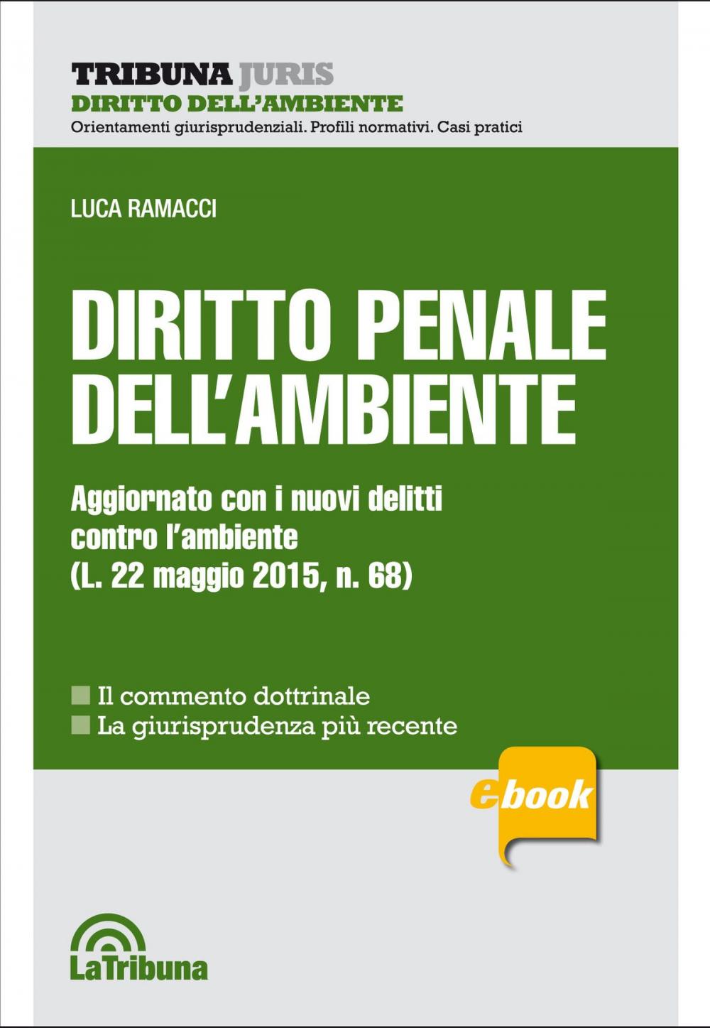 Big bigCover of Diritto penale dell'ambiente