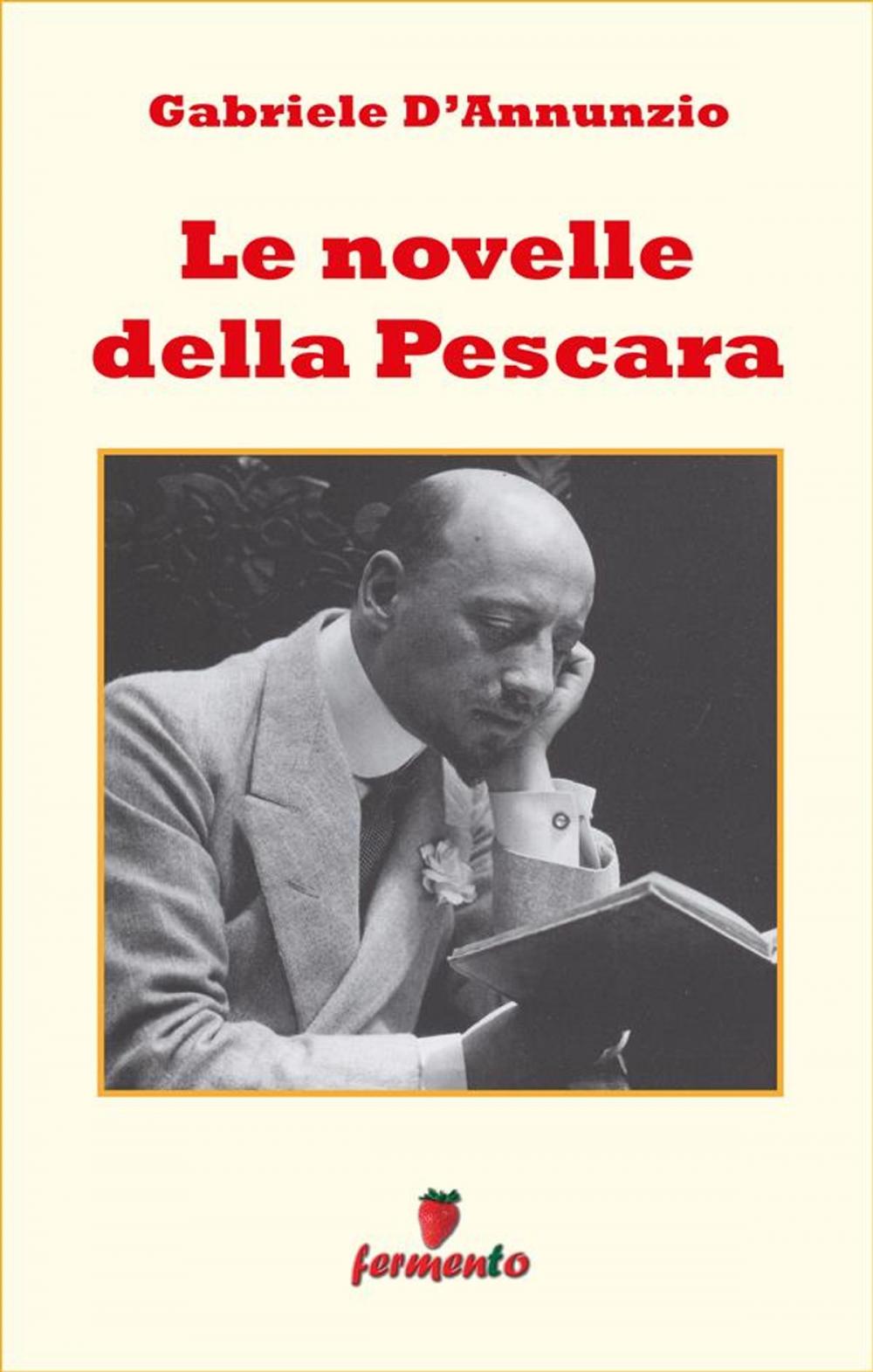 Big bigCover of Le novelle della Pescara