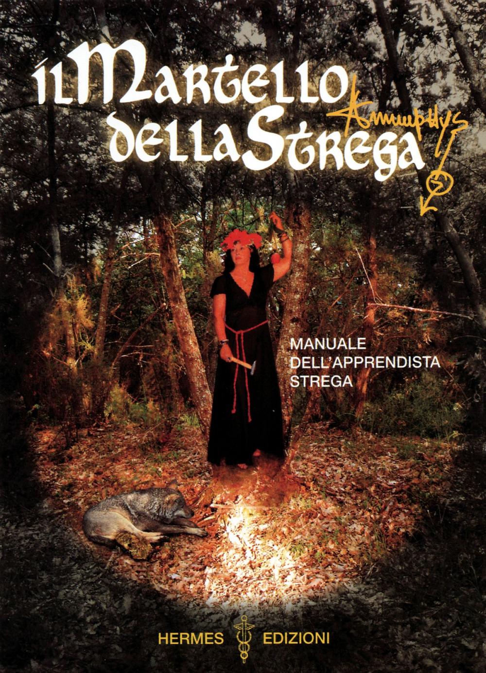 Big bigCover of Il martello della strega