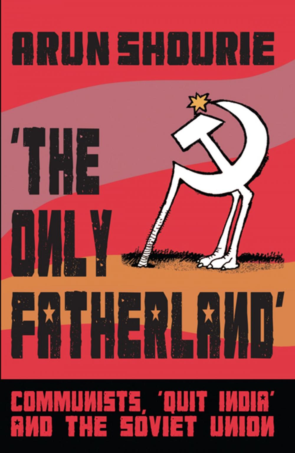 Big bigCover of The Only Fatherland