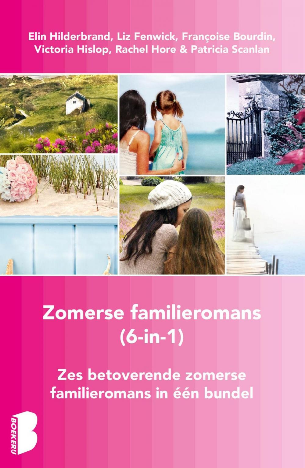 Big bigCover of Zomerse familieromans, 6-in-1-bundel