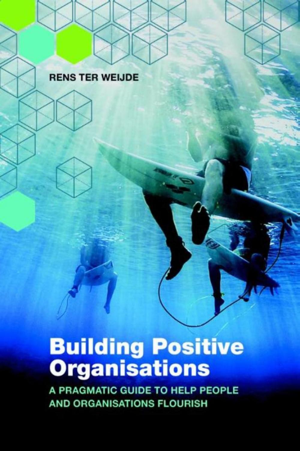 Big bigCover of Building positive organisations