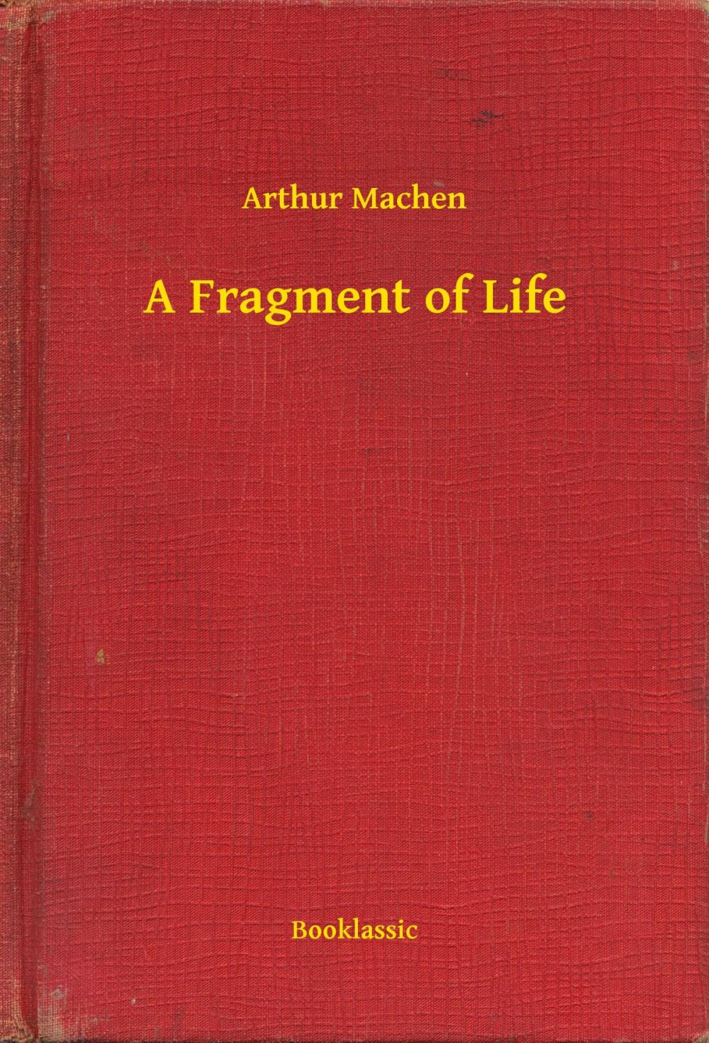 Big bigCover of A Fragment of Life