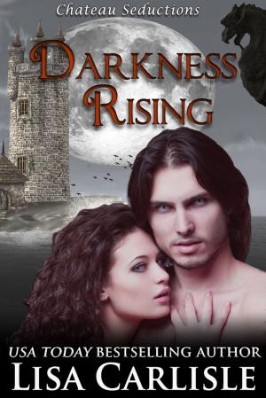 Cover of the book Darkness Rising by Cathy McDavid