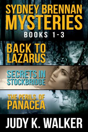 Cover of the book The Sydney Brennan Mystery Series: Books 1-3 by Ann Michaels