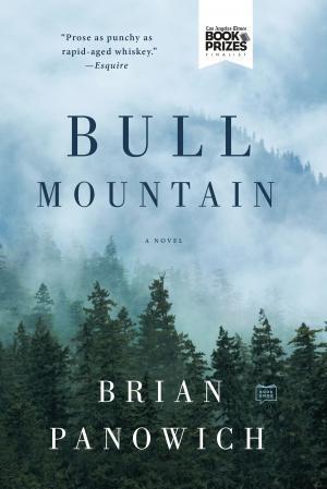 Cover of the book Bull Mountain by Cy Young