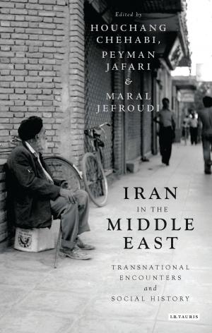 Cover of the book Iran in the Middle East by Professor Karen Coats