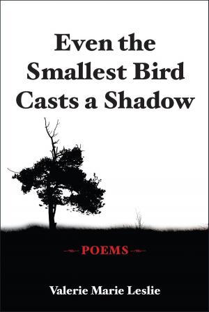 Cover of Even the Smallest Bird Casts a Shadow