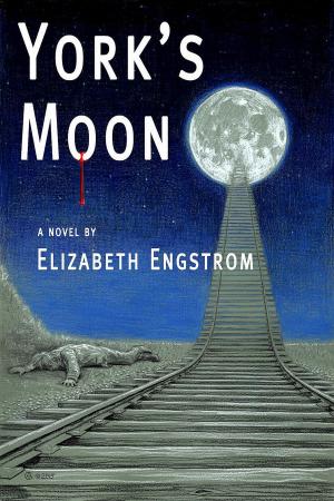 Cover of the book York's Moon by Eric M. Witchey