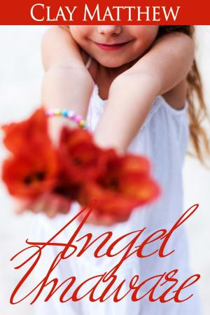 Cover of Angel Unaware