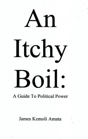 Cover of the book An Itchy Boil: A Guide To Political Power by R.E. Hannay