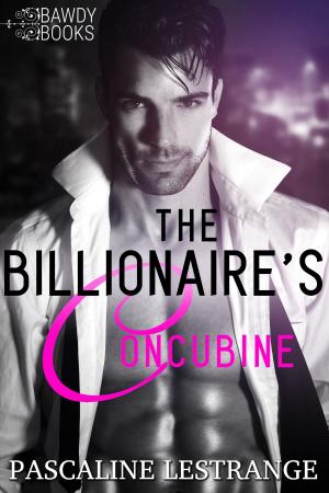 Cover of The Billionaire's Concubine