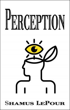 Cover of the book Perception by Mark L. Prophet, Elizabeth Clare Prophet