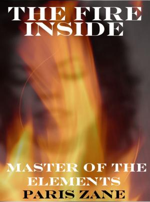 Cover of the book The Fire Inside by Kaylee Fox