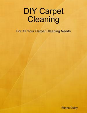 Book cover of Diy Carpet Cleaning