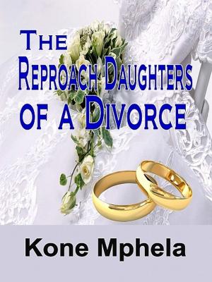 Cover of The Reproach Daughters of a Divorce