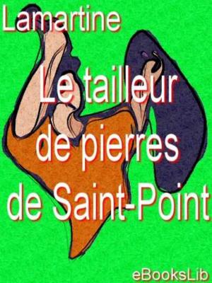 Book cover of Le tailleur de pierres de Saint-Point