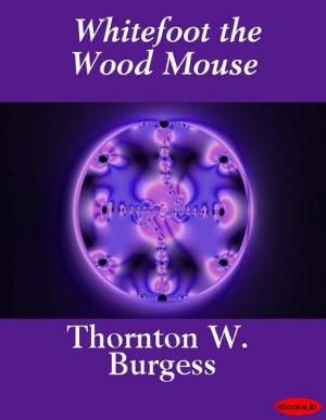 Cover of the book Whitefoot the Wood Mouse by Jennette Lee