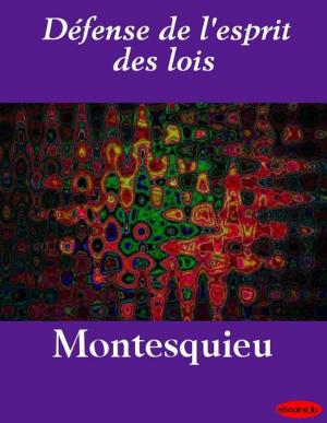 Cover of the book Défense de l'esprit des lois by E.W. Landor