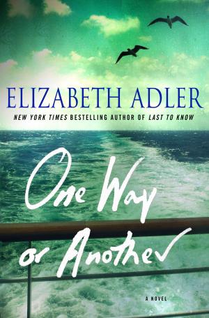 Cover of the book One Way or Another by Karen Berger, John Bostwick