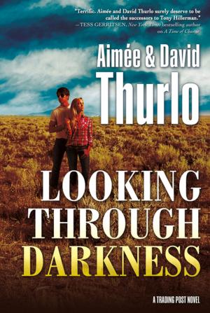 Cover of the book Looking Through Darkness by Thomas Gifford