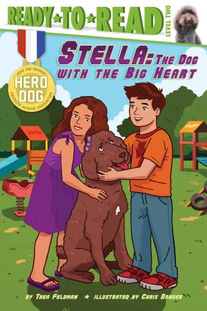 Cover of the book Stella by Maggie Testa