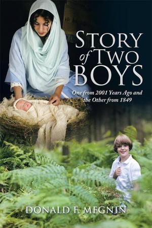 Cover of the book Story of Two Boys by Anthony M Manno Jr.