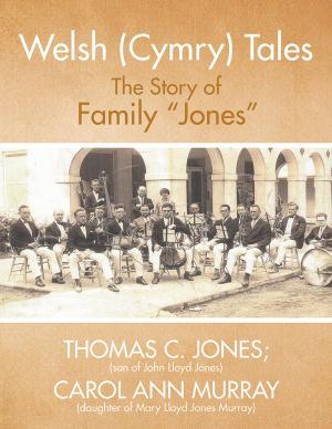 Cover of the book Welsh (Cymry) Tales by Sylvia Bennett