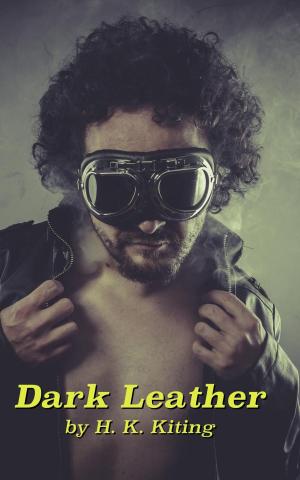 Cover of the book Dark Leather by André Leblanc