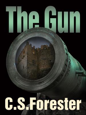 Book cover of The Gun