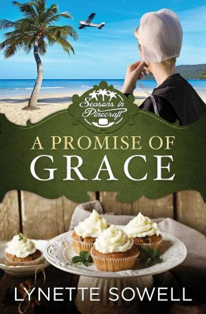 Cover of the book A Promise of Grace by Rebecca Carey Lyles