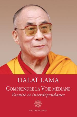 Cover of Comprendre la Voie médiane, vacuité et interdépendance