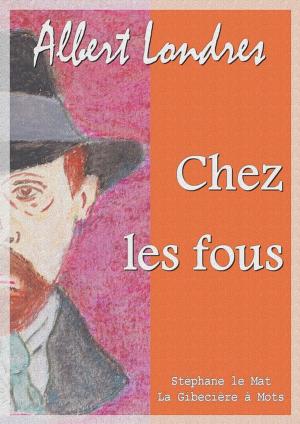 Cover of the book Chez les fous by Gaston Leroux