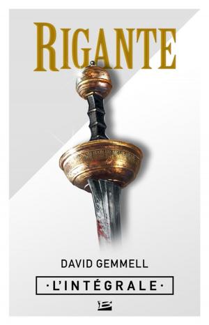 Cover of the book Rigante - L'Intégrale by Miles Cameron