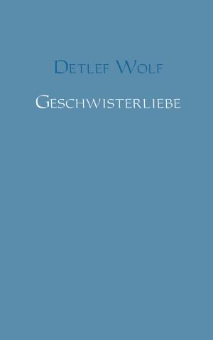 Cover of the book Geschwisterliebe by Bernhard Schlörit