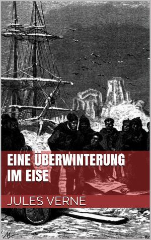 Cover of the book Eine Überwinterung im Eise by Paul Féval