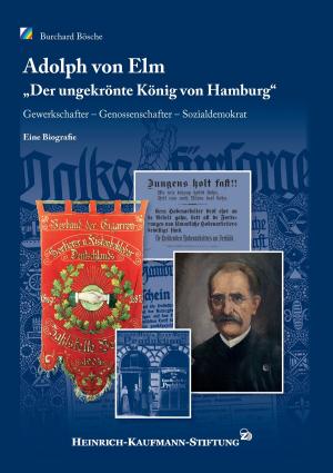Cover of the book Adolph von Elm by Reinhard Rosenke