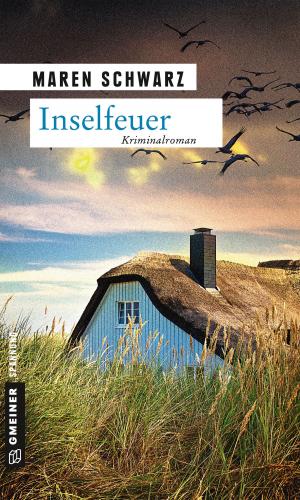 bigCover of the book Inselfeuer by 