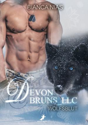 Cover of the book Devon@Bruns_LLC by Jude Knight