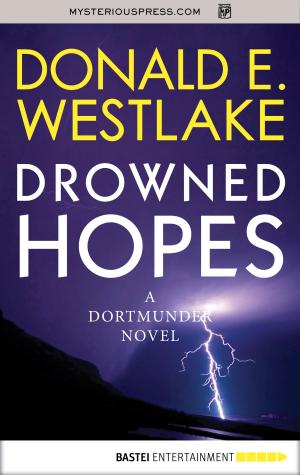 Cover of the book Drowned Hopes by Marina Anders