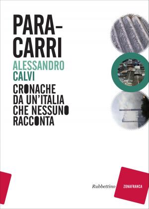 Cover of the book Paracarri by Paolo Savona